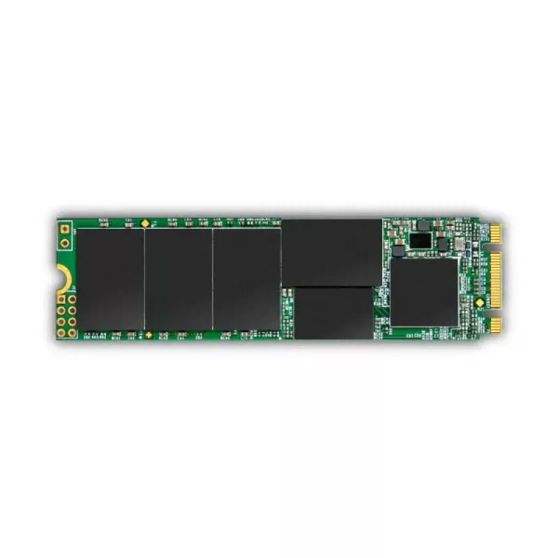 SSD diskas Transcend 256GB M.2 6 Gbit/s TS256GMTS832S