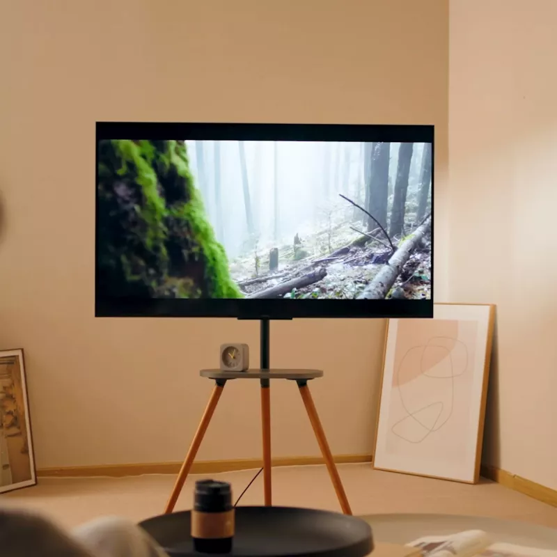 TV stovas InLine 23133W 43–65 colių ekranams su lentyna, laisvai stovintis atramas