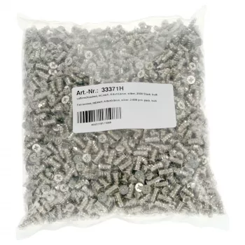 InLine ventiliatoriaus varžtai 5,0x10,0 mm sidabriniai 2 000 vnt. pakuotė