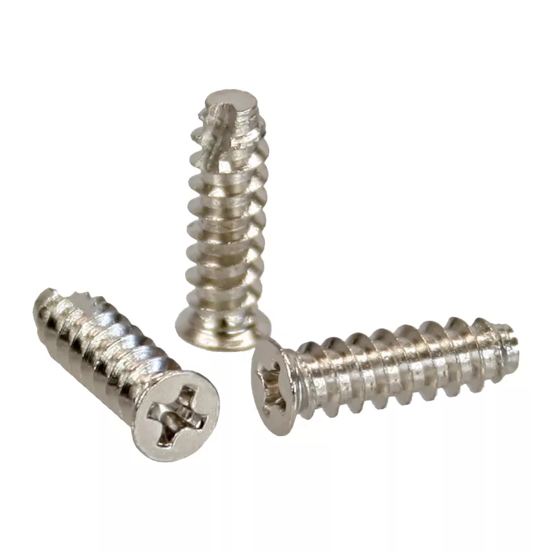 InLine ventiliatoriaus varžtai 5x16mm sidabriniai 100 vnt. pakuotė