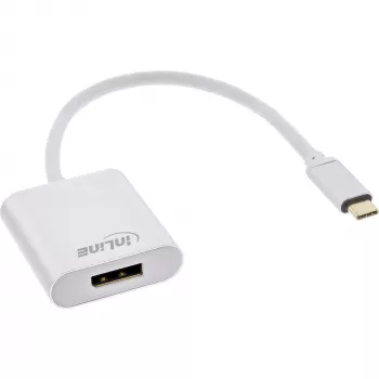 USB ekrano keitiklis InLine 64102S USB-C į DisplayPort 4K 60 Hz