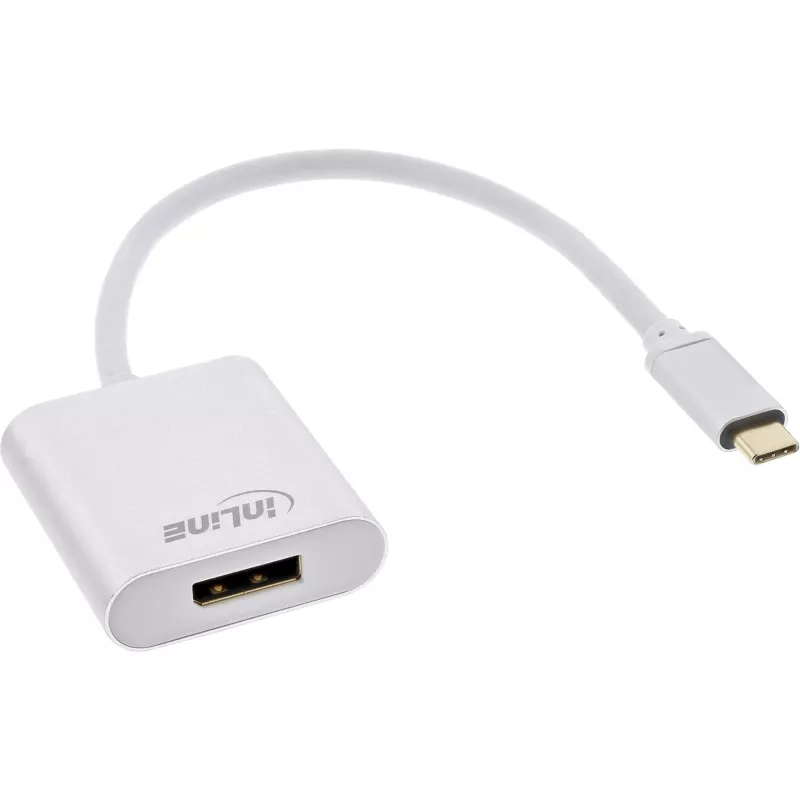 USB ekrano keitiklis InLine 64102S USB-C į DisplayPort 4K 60 Hz