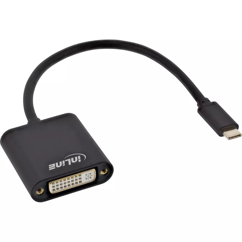 USB ekrano keitiklis InLine 64103B USB-C kištukas į DVI lizdą