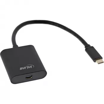 InLine USB ekrano keitiklis, USB-C kištukas į Mini DisplayPort 4K/60Hz juodas