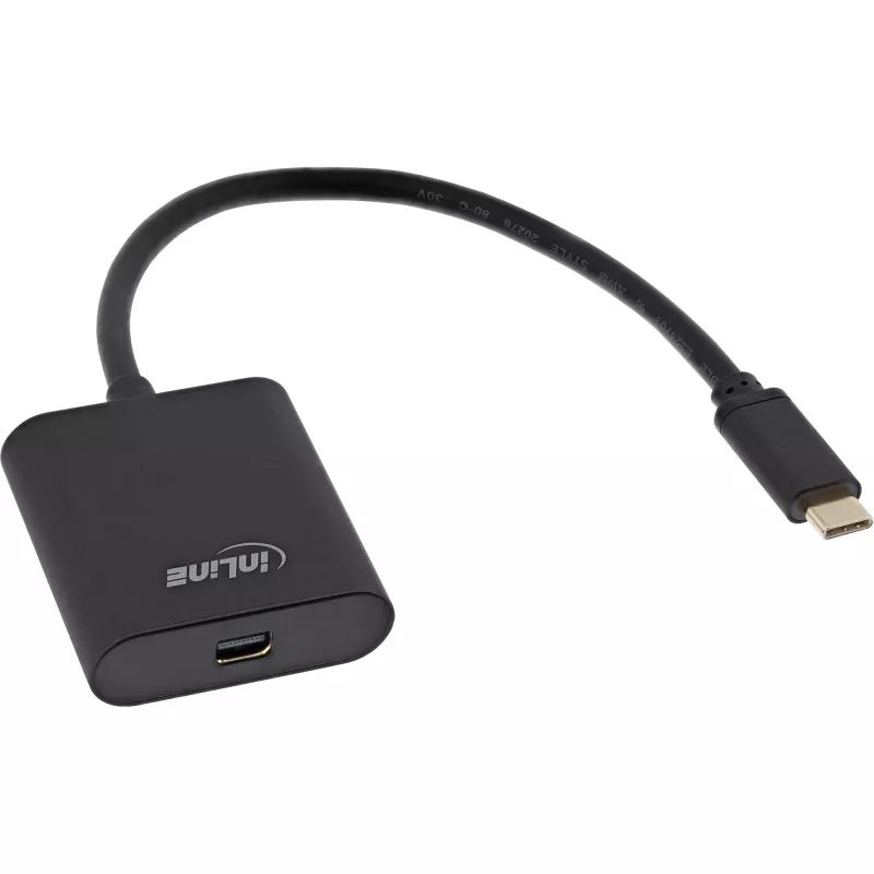 InLine USB ekrano keitiklis, USB-C kištukas į Mini DisplayPort 4K/60Hz juodas
