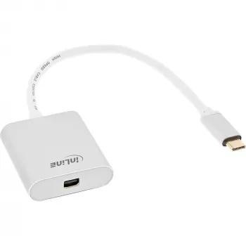 USB ekrano keitiklis InLine 64105S USB-C kištukas į Mini DisplayPort 4K 60Hz sidabrinis