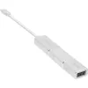 InLine USB ekrano keitiklio rinkinys 6 viename, 4K/60Hz, sidabrinis