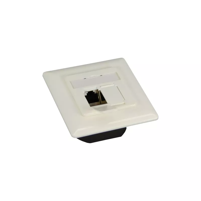 InLine Cat.6 prijungimo dėžutė 2x RJ45 lizdas, RAL9010 balta, horizontali