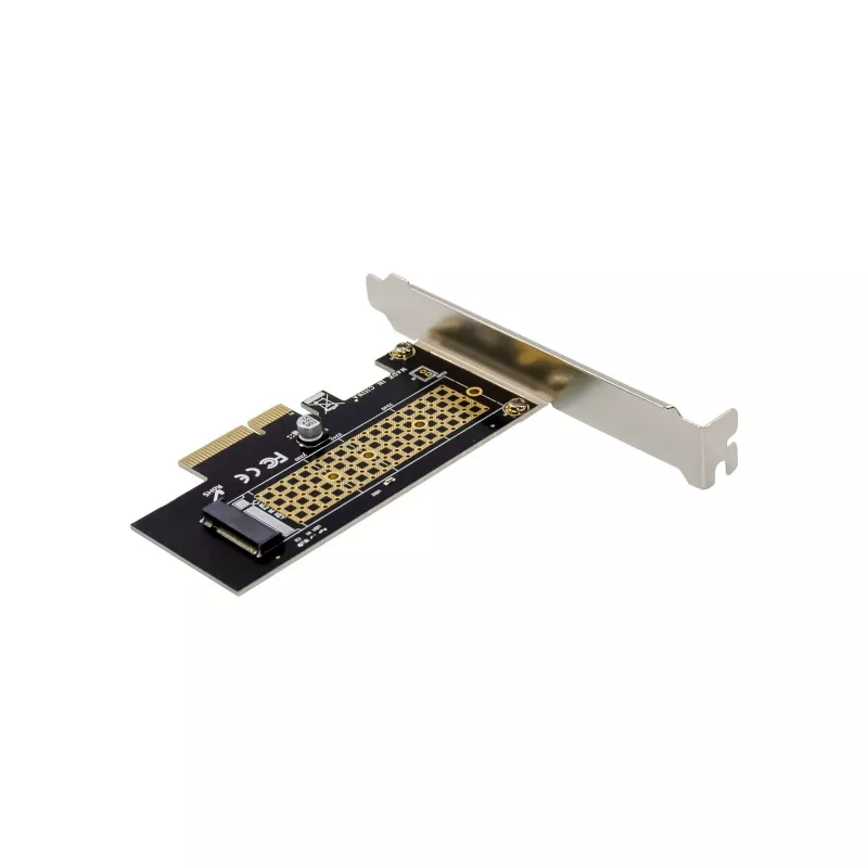 InLine 76660V vidinė M.2 sąsajos kortelė PCIe 4 Gbit/s