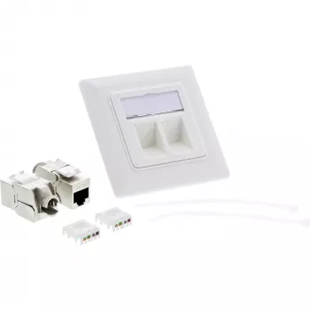 InLine Cat.6A dėžutė lygiam montavimui, 2x RJ45, balta RAL9010