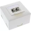 InLine sieninė plokštė Cat.6A paviršiniam montavimui 2x RJ45 kištukinis lizdas RAL9010 balta