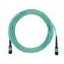 Tinklo kabelis BlueOptics 00VX005-IB-BO MTP InfiniBand 30 m turkio spalvos