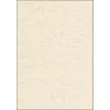 Art Paper Sheets Sigel DP655 50 lapų smėlio spalvos 200 g/m²