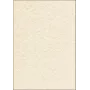 Art Paper Sheets Sigel DP655 50 lapų smėlio spalvos 200 g/m²