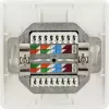 Socket outlet RJ-45 Schwaiger TDU2628532