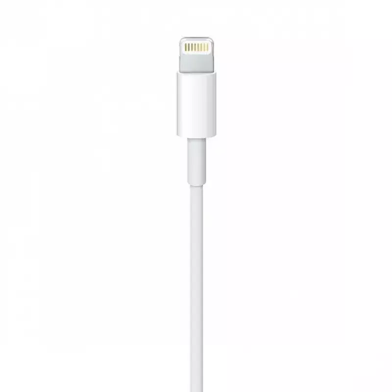Kabelis Apple MQUE2ZM 1 m balta