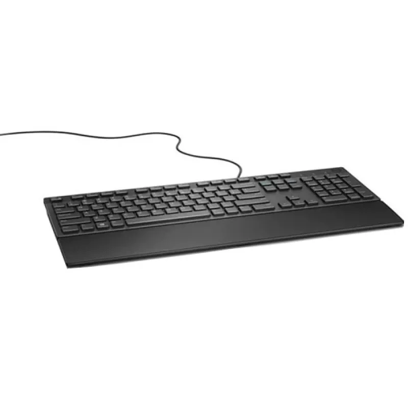 DELL laidinis klaviatūra - KB216 - švedų/suomių (QWERTY) - juoda