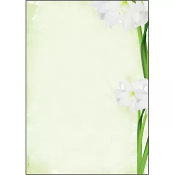 Spausdinimo popierius A4 Sigel DP463 25 lapai Žalia Balta