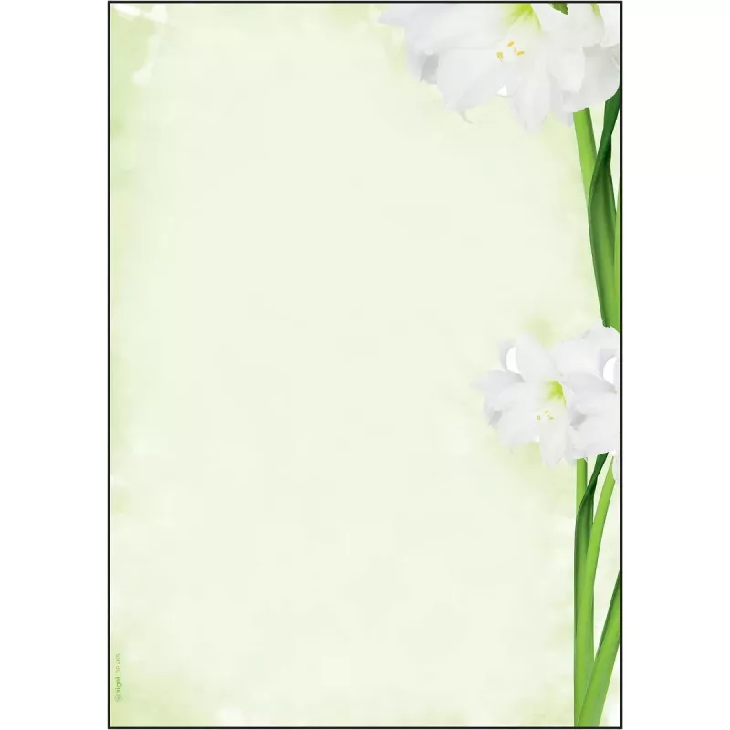 Spausdinimo popierius A4 Sigel DP463 25 lapai Žalia Balta