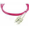BlueOptics SFP3232FU2MK InfiniBand šviesolaidinis kabelis 2 m 2x SC