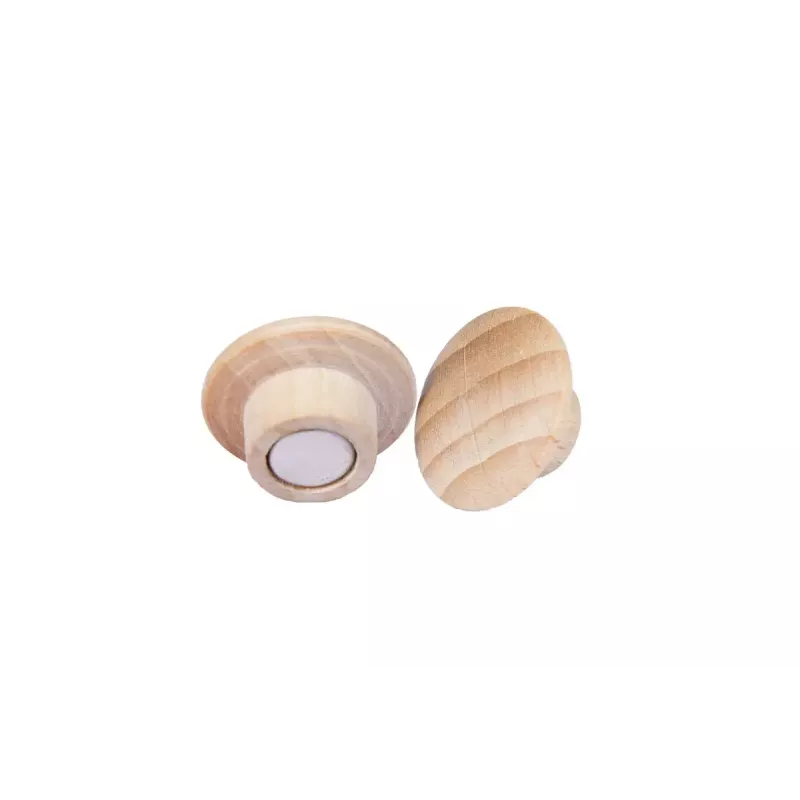 Mediniai magnetai Legamaster 25 mm 5 vnt.