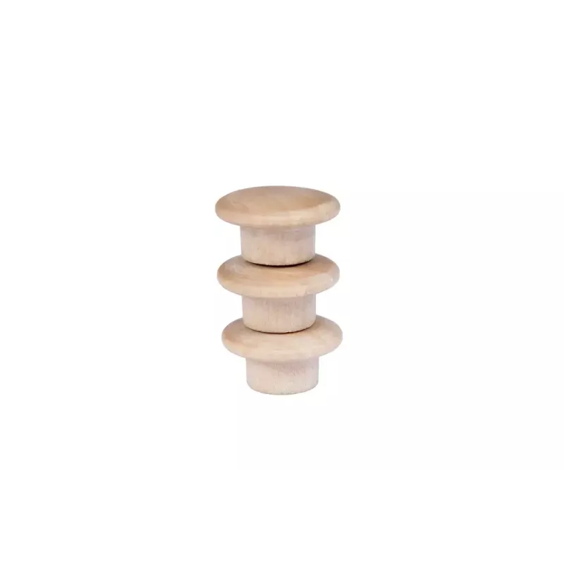 Mediniai magnetai Legamaster 25 mm 5 vnt.