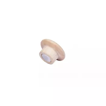 Mediniai magnetai Legamaster 25 mm 5 vnt.