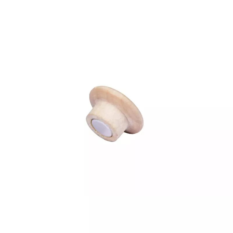 Mediniai magnetai Legamaster 25 mm 5 vnt.