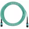 BlueOptics CBL-NTWK-0892-OPF40L-BO InfiniBand šviesolaidinis kabelis 40 m LC/APC