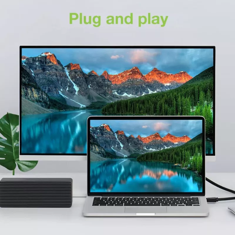 Techly Monitor DisplayPort į DVI kabelis 2 m ICOC DSP-C-020