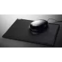 Cintano S Juoda Sigel