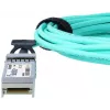 BlueOptics UACC-AOC-SFP10-50M-BO InfiniBand šviesolaidinis kabelis SFP+ 50m kištukas/kištukas