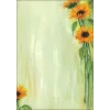 Meno popieriaus lapai Sigel DP694 25 lapai