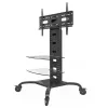 Techly ICA-TR8 reklaminio ekrano laikiklis 177,8 cm (70 colių) juodas