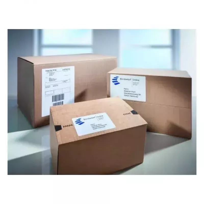 Lipnios etiketės stačiakampis Avery 8017-300
