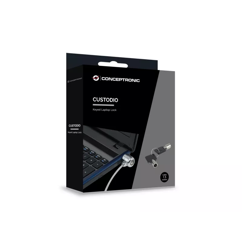 Conceptronic CNBSLOCK15 kabelio užraktas sidabrinis 1,5 m