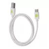 Techly ICOC MUSB20-CMAM10TW USB laidas USB 2.0 1 m USB A USB C Balta