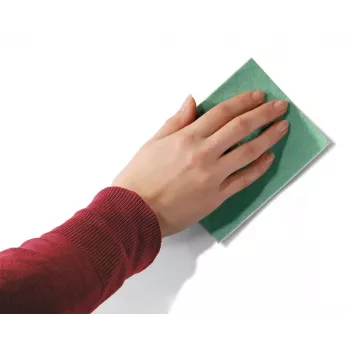 Trintukų rinkinys Legamaster MagicWipe 2 vnt.