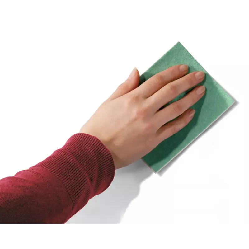 Trintukų rinkinys Legamaster MagicWipe 2 vnt.