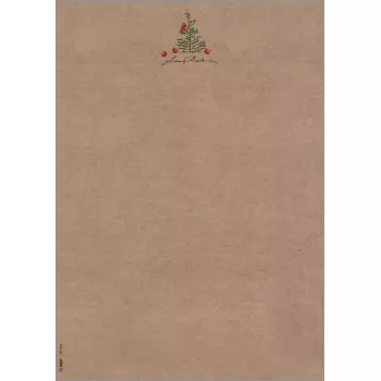 Spausdinimo popierius Sigel DP415 A4 100 lapų universalus smėlio rudos žalios raudonos spalvos