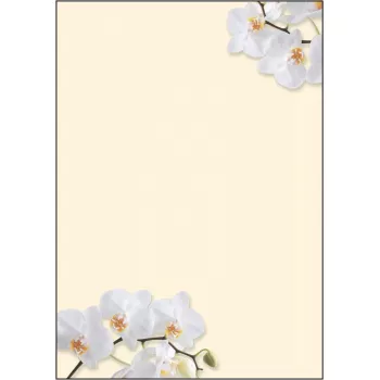 Art Paper Sigel DP904 50 lapų