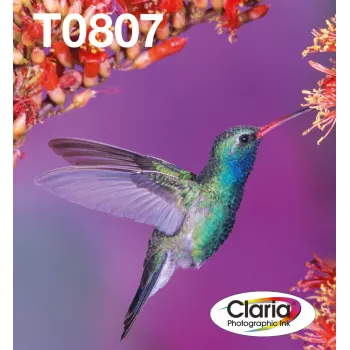 Rašalo kasečių kelių pakuotė Epson Hummingbird T0807 — 6 spalvos (juoda, žalsvai mėlyna, šviesiai žalsvai mėlyna, šviesiai purpurinė, purpurinė, geltona)