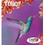 Rašalo kasečių kelių pakuotė Epson Hummingbird T0807 — 6 spalvos (juoda, žalsvai mėlyna, šviesiai žalsvai mėlyna, šviesiai purpurinė, purpurinė, geltona)