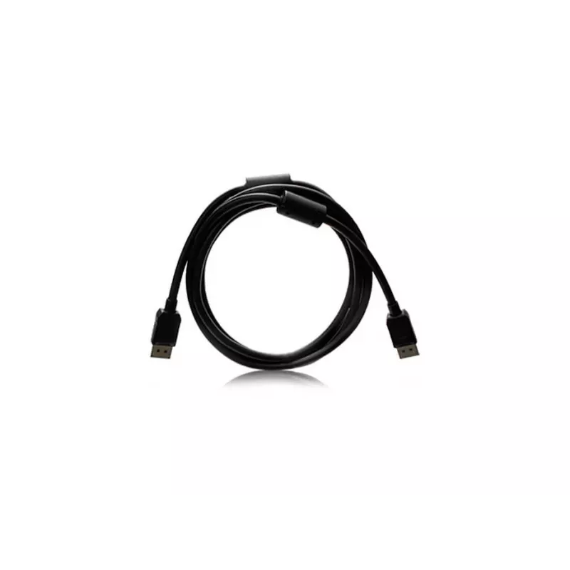 EIZO PP200-K 2 m DisplayPort juoda