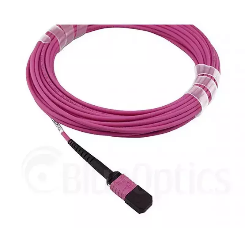BlueOptics EMC CBL-MPO12-4LC-OM4-2M Šviesolaidinis kabelis MPO 4x LC 2m
