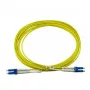 BlueOptics CAB-SMF-LC-LC-1-BO InfiniBand šviesolaidinis kabelis 1 m LC/APC