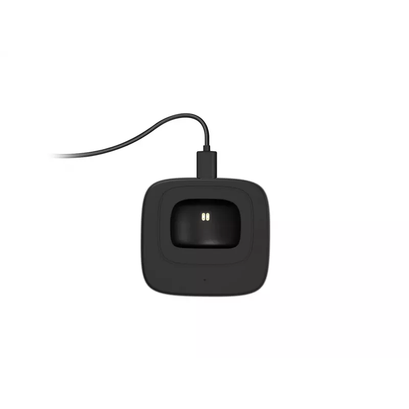 Conceptronic POLONA belaidės Bluetooth ausinės su įkrovimo stotele ir Bluetooth USB garso adapteriu