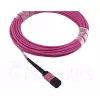 BlueOptics CBL-MPO12-4LC-OM4-10M InfiniBand šviesolaidinis kabelis 10m MPO/UPC 4x LC Duplex/UPC