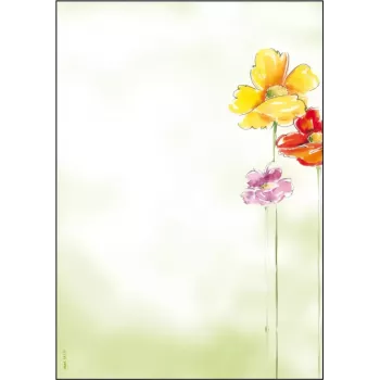 Art Paper Sigel DP123 50 lapų