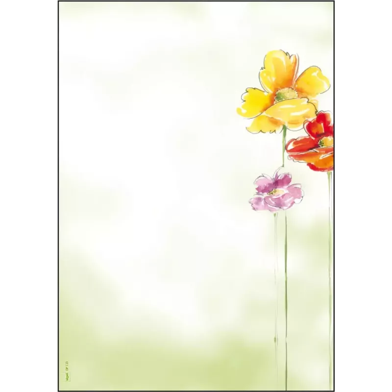 Art Paper Sigel DP123 50 lapų